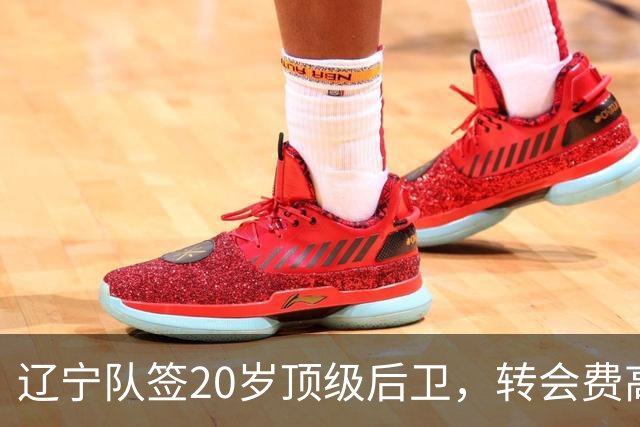 辽宁队签20岁顶级后卫，转会费高达8位数；北控官宣多名外援